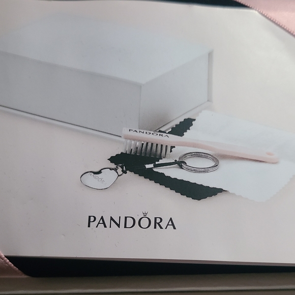 New Pandora Cleaning Kit - Picture 7 of 7
